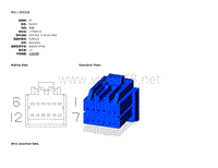 2010年JEEP牧马人（Wrangler）模块端子图-模块-入侵收发器