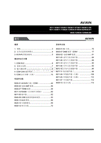 2009年双龙主席W205维修说明-WM_309_AVAVN