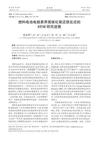 19-燃料电池电极表界面催化氧还原反应的STM研究进展