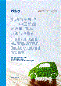 中国新能源汽车 市场 政策与消费者