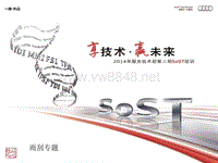SoST_车身-专题 奥迪2014年第二期SOST