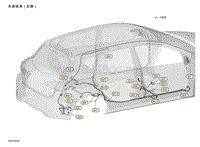 2021年东风日产骐达-线束图-车身线束（右侧）
