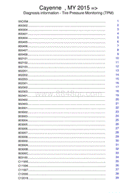 保时捷诊断信息-4434 Tire Pressure Monitoring TPM 