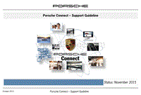 保时捷诊断信息-9940 FSL Connect Plus Support Guideline