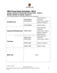 保时捷诊断信息-0335 OBD System Description 2014