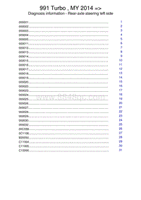 保时捷诊断信息-4883 Rear-Axle Steering Left Side