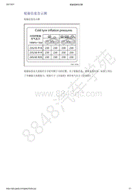 2021年吉利星越-车辆识别码-描述和操作-轮胎信息告示牌