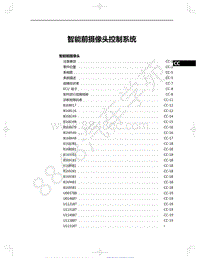 2021年红旗E-HS9纯电动-30-智能前摄像头控制系统