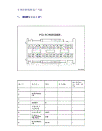 帝豪EV350 EV450 EV500-车身控制模块端子列表