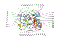 2005-2006雷克萨斯IS系列-发动机舱中零件的位置 3GRFSER-P3