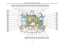 2005-2006雷克萨斯IS系列-发动机舱中零件的位置 4GRFSEL-P3