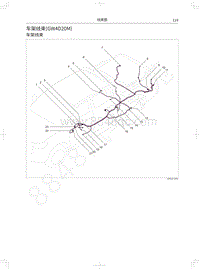 2020长城炮越野皮卡电路图-车架线束 GW4D20M 