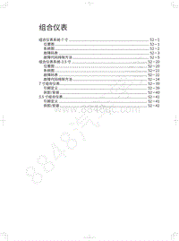 2022年长城炮黑弹-组合仪表