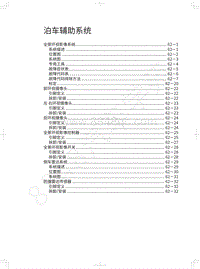 2022年长城炮黑弹-泊车辅助系统