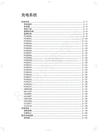 2021长城炮EV维修手册-充电系统