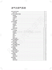 2022年坦克500维修手册-进气与排气系统