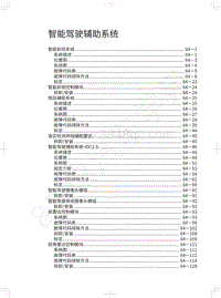 2022年坦克500维修手册-智能驾驶辅助系统