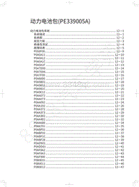 2022年长城哈弗大狗维修手册-动力电池包 PE339005A 