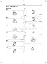 2021年长城风骏7电路图-发动机线束 GW4C20B 