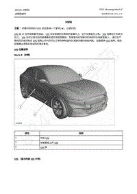 2021年玛斯丹Mustang Mach-E-100-01 识别码