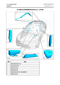 2021年玛斯丹Mustang Mach-E-501-20B 辅助约束系统