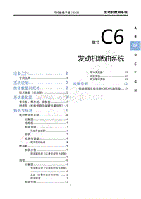 2022年新风行T5维修手册-C6发动机燃油系统