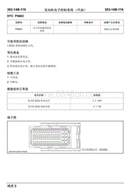 瑞虎3汽油-DTC P060C