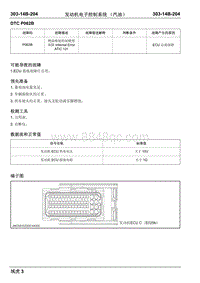 瑞虎3汽油-DTC P062B