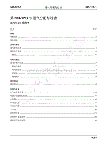 2019年域虎9国六维修手册-柴油机-303-12B进气分配与过滤