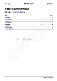 2020年新世代全顺Pro维修手册-303-12B进气分配与过滤