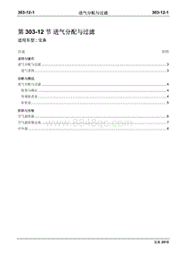 2015年宝典Plus国四维修手册-303-12进气分配与过滤