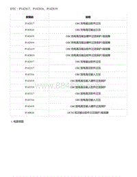 2021年零跑C11新能源-DTC P142817 P142816 P142819