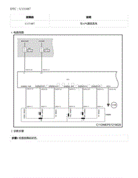 2021年零跑C11新能源-DTC U131487