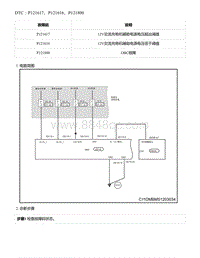 2021年零跑C11新能源-DTC P121617 P121616 P121800