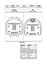 2021年林肯航海家ET线束接插件-C313 线束内部 