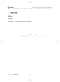 2019威马EX5即客行-616 牌照灯装置