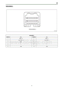 2019红旗E-HS3端子图 智能前摄像头