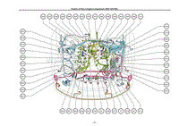 Position of Parts in Engine Compartment _RHD 1UR-FSE_