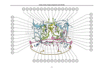 Position of Parts in Engine Compartment _LHD 1UR-FSE_