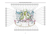 Position of Parts in Engine Compartment _LHD 1UR-FE_