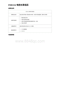 2023唐DM-i诊断 P2B5516 电控水泵低压