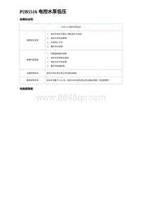 2023海豹DM-i诊断 P2B5516 电控水泵低压