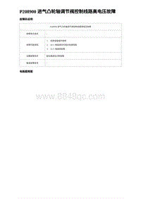 比亚迪汉DM-i诊断 P208900 进气凸轮轴调节阀控制线路高电压故障