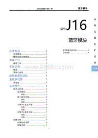 2024风行游艇-J16蓝牙模块