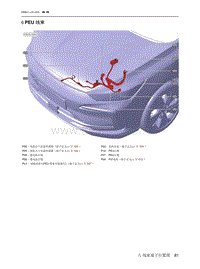 2021北京EU7电路图-6  PEU 线束