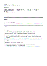 高压接线盒 - INGENIUM I4 2.0 升汽油机 - PHEV