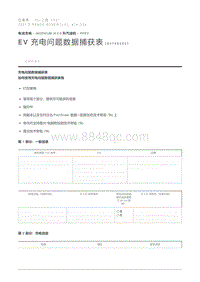 EV 充电问题数据捕获表