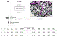 2019捷豹XF X260电路图 C1E818