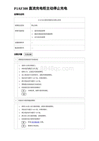 2024比亚迪元UP诊断 P1AF300 直流充电柜主动停止充电