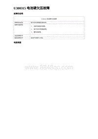 2023海鸥故障诊断 U300315 电池硬欠压故障